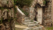 VPG_271_001.mov