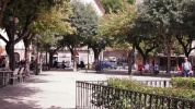 VSV_272_001.mov
