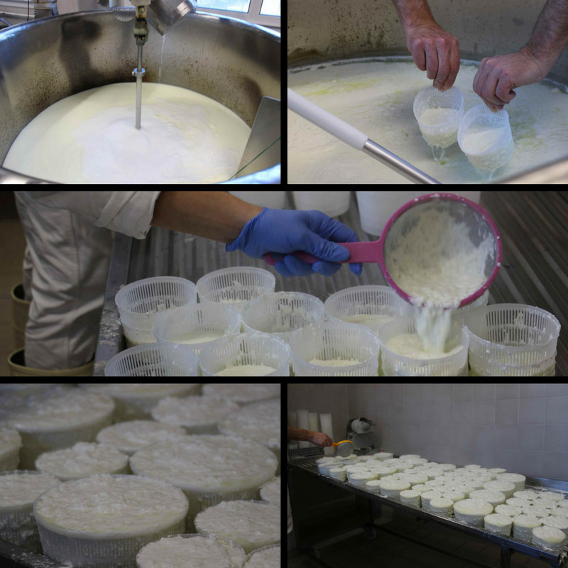 Production Fromagère