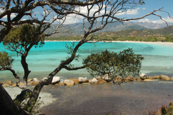 Crédits, conservatoire du Littoral Crédits, conservatoire du Littoral