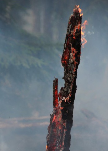 RISQUE INCENDIE: prenez vos précautions! RISQUE INCENDIE: prenez vos précautions!