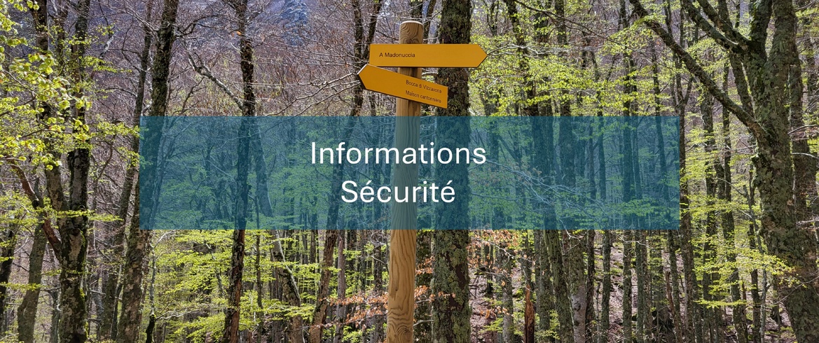 Informations Sécurité