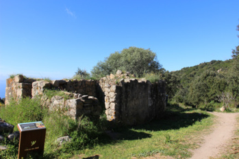 Viaghjà da paesi à paesi