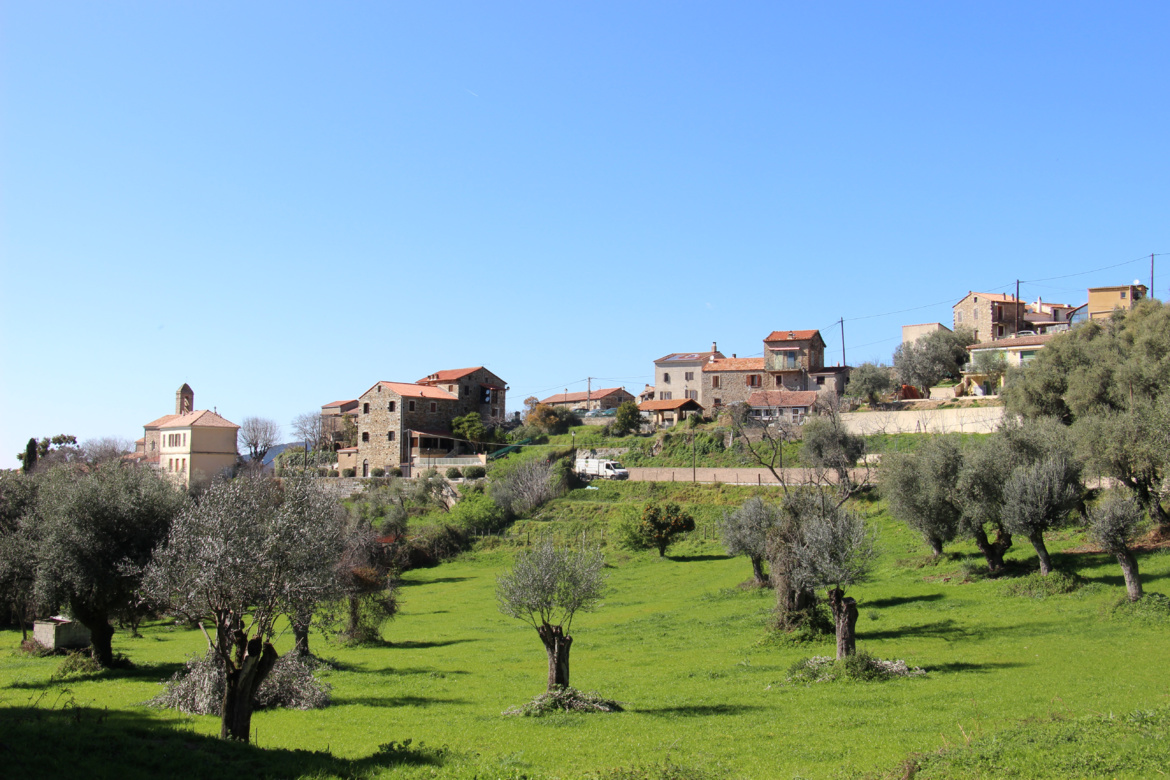 Ambiegna (Ambiegna)