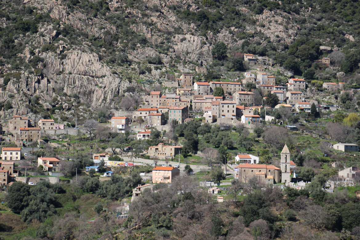 Balogna (Balogna)