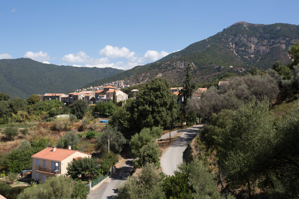 Cannelle d'Orcino (Canedde d'Urcinu)