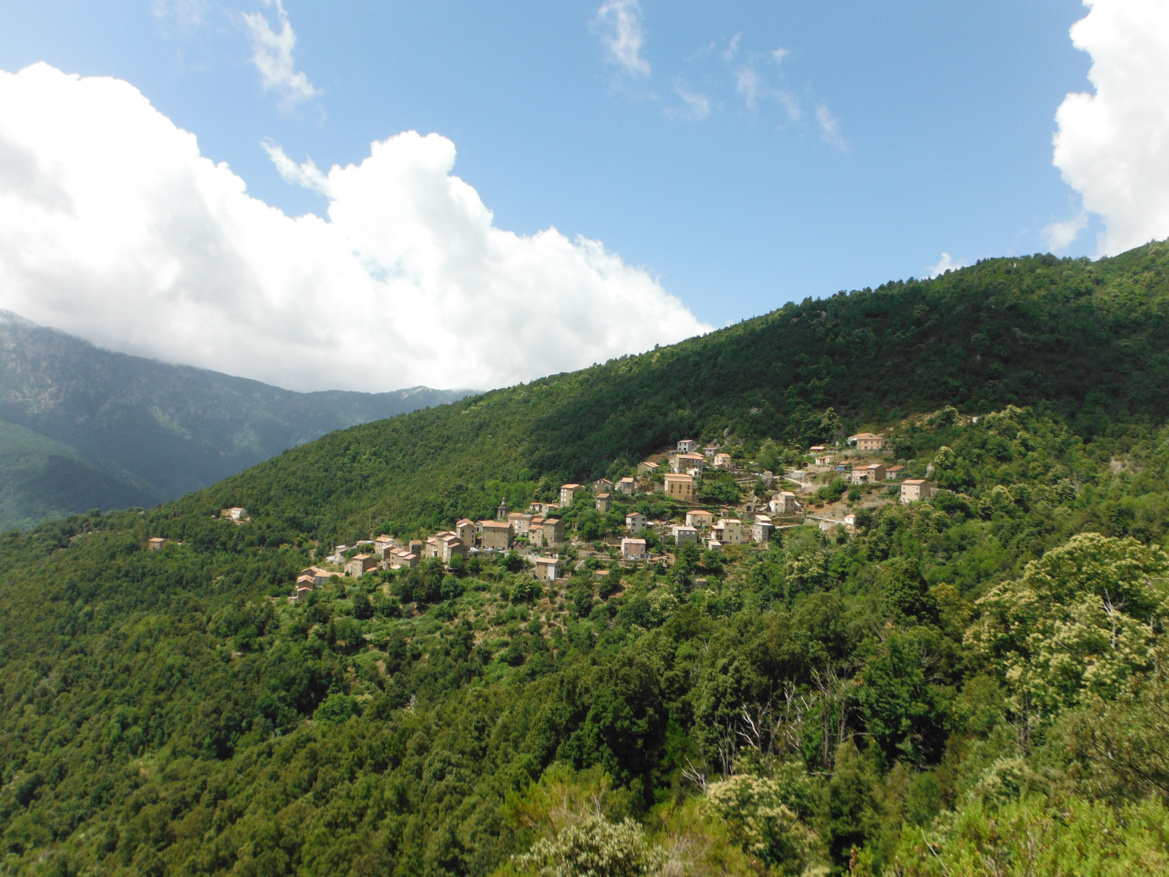 Orto (Ortu) 
