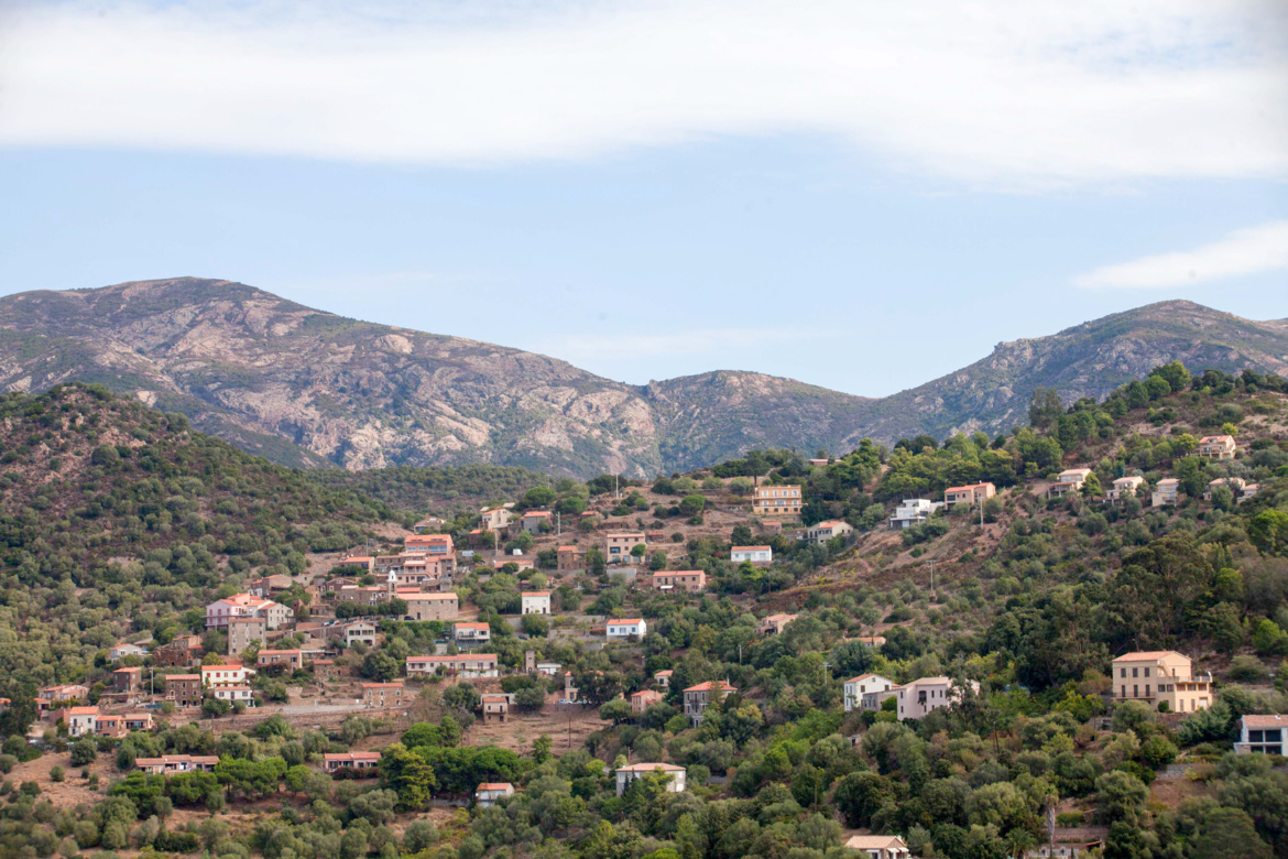 Partinello (Partinellu)