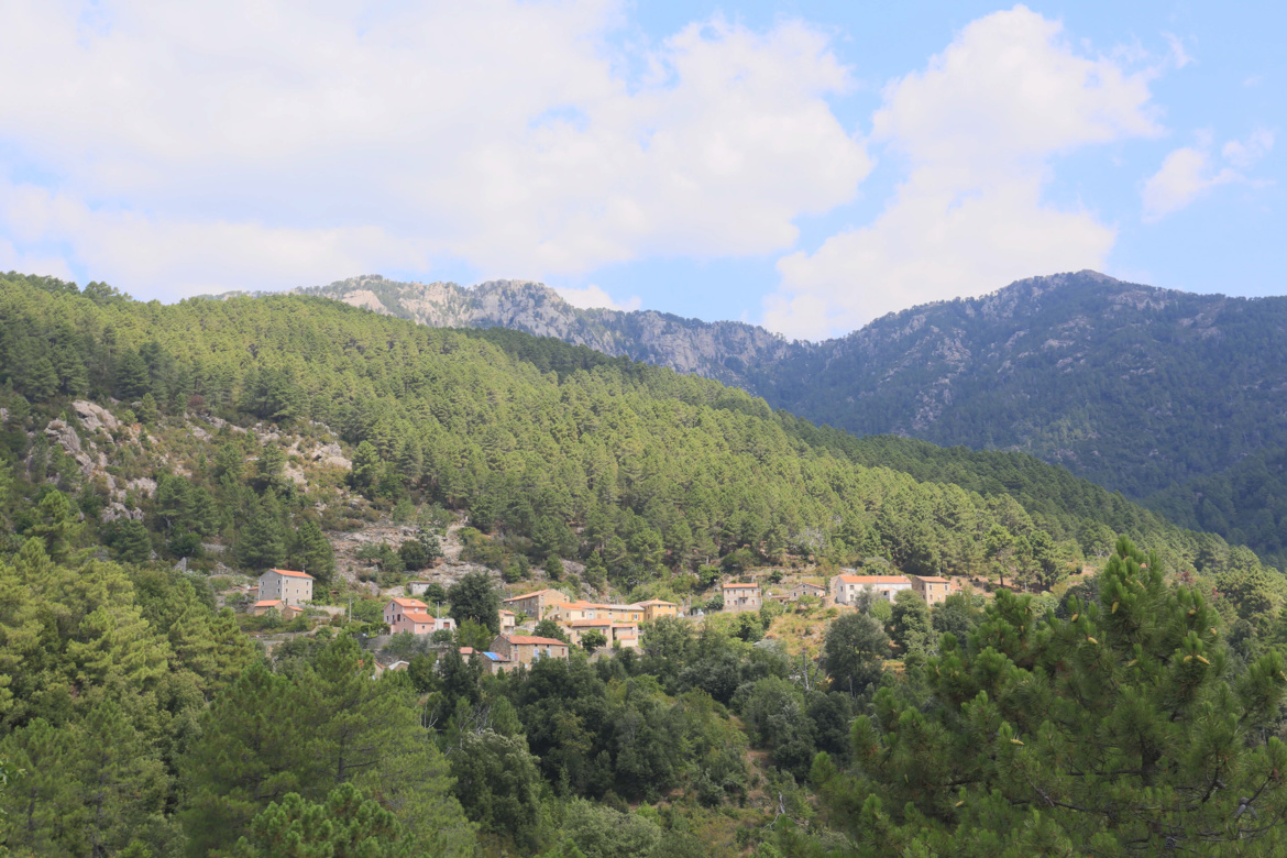Pastricciola (Pastricciola)