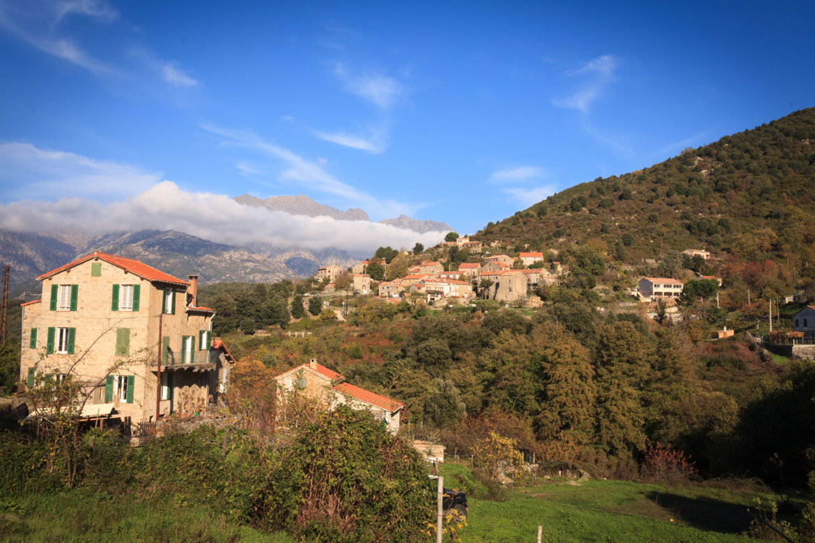 Tavera (Tavera)