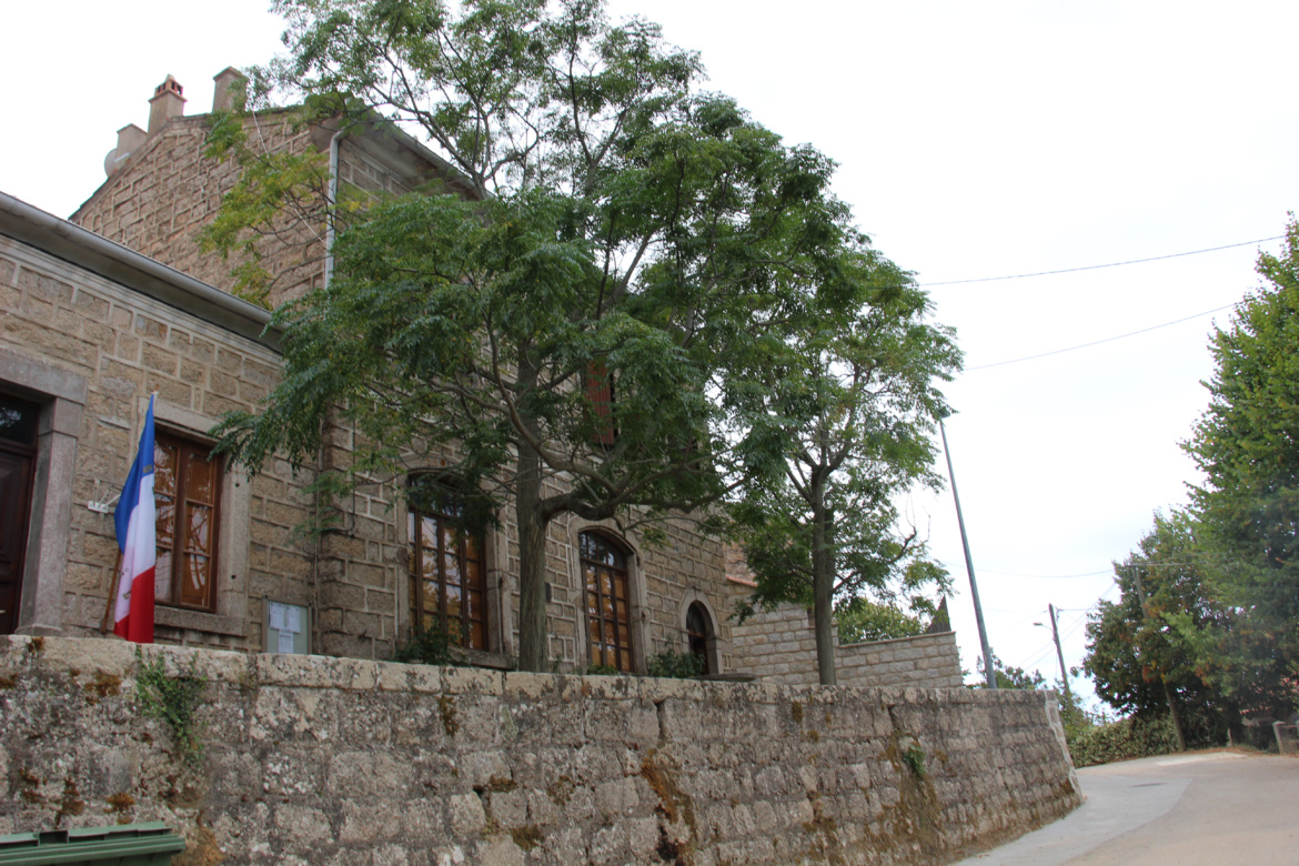 Bilia (Bilia)