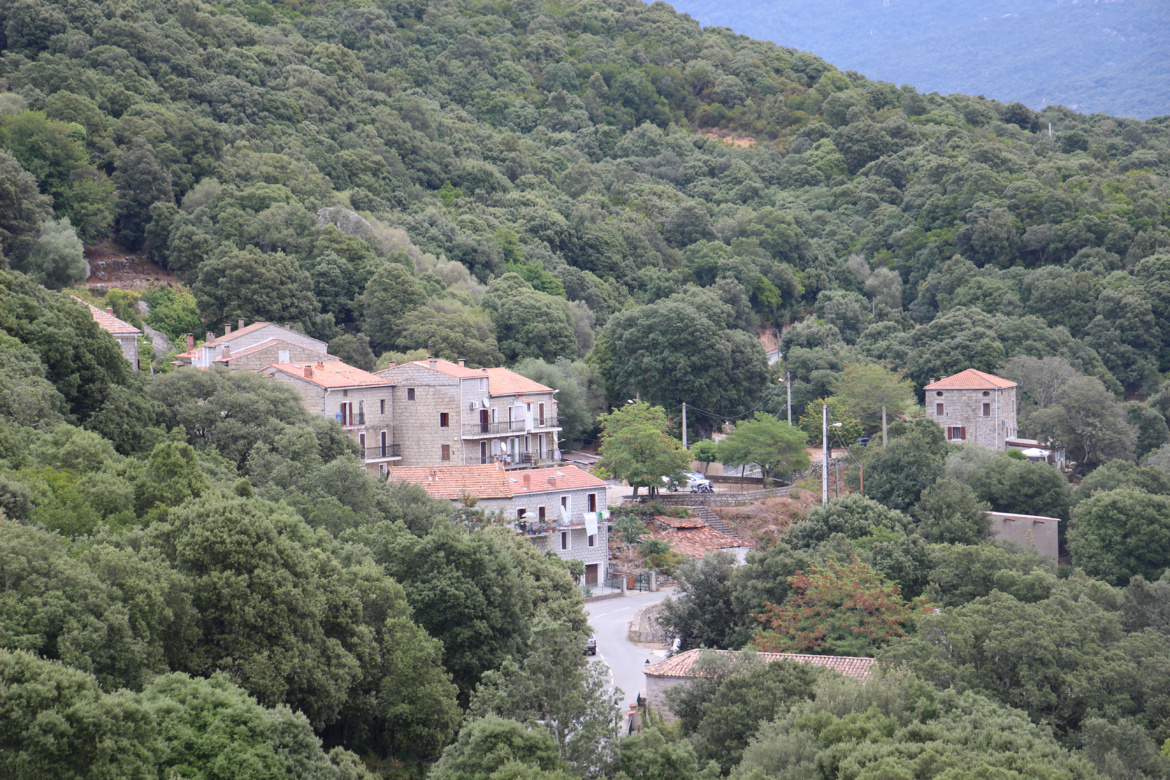 Foce-Bilzese (Foci è Bilzesi)