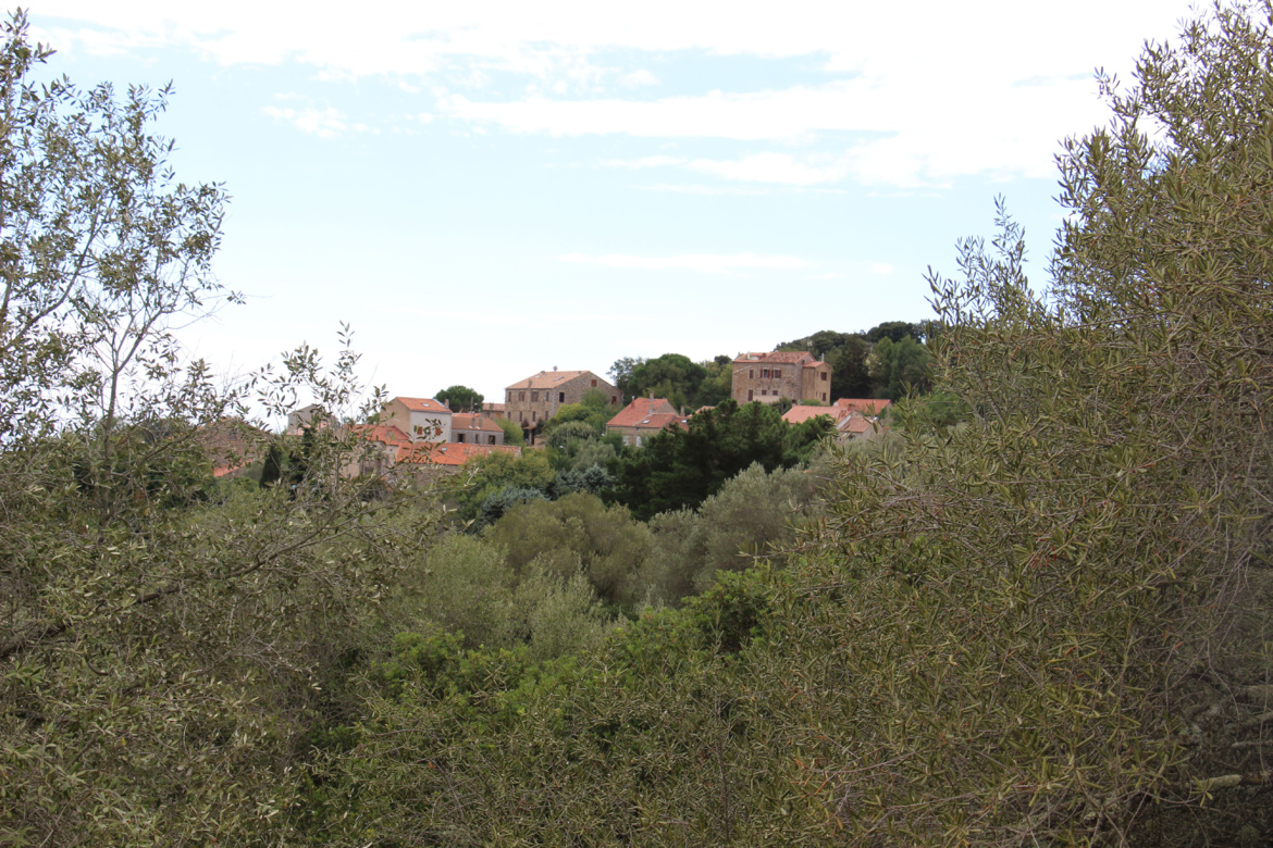 Grossa (A Grossa)