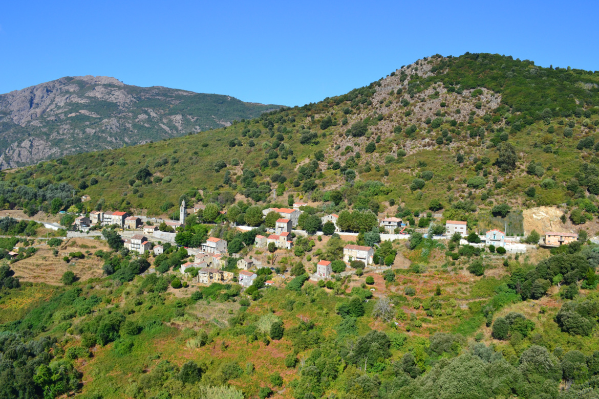Cargiaca (Carghjaca)