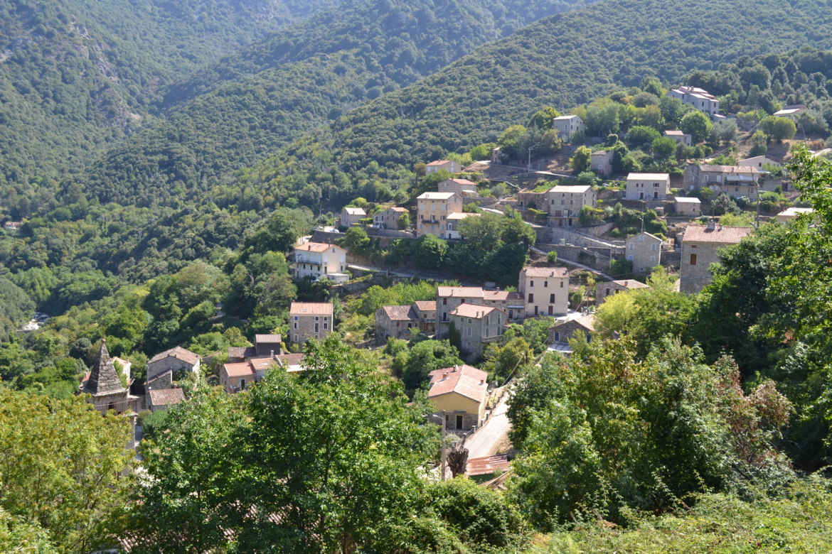 Zoza (Zoza)