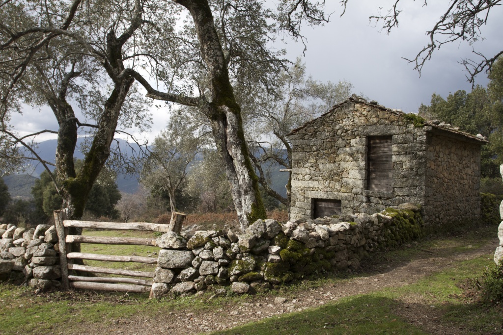 Strada Antica A Gravona - Carbuccia/Vizzavona