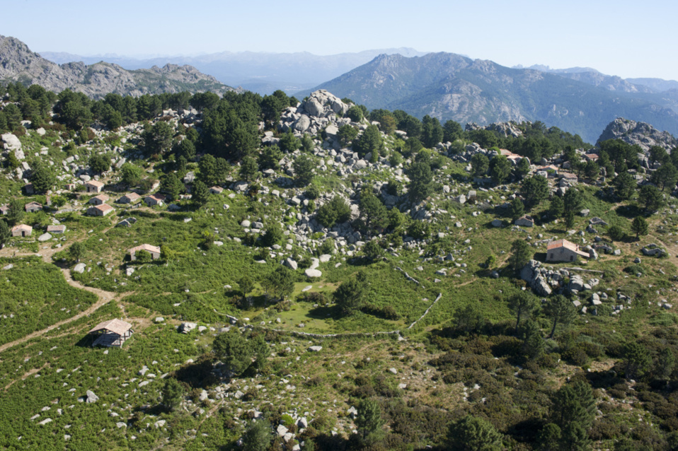 Les massifs forestiers