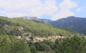 Pastricciola (Pastricciola)