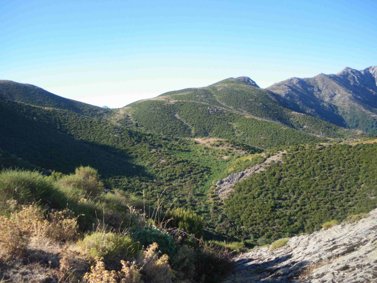 Tavera Bastelica
